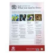 Health & Safety Law Poster, Flexible Plastic, A2